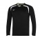 Sweat Mizuno LS