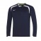 Sweat Mizuno LS