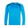 Sweat Mizuno LS