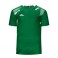 Maillot Fensif